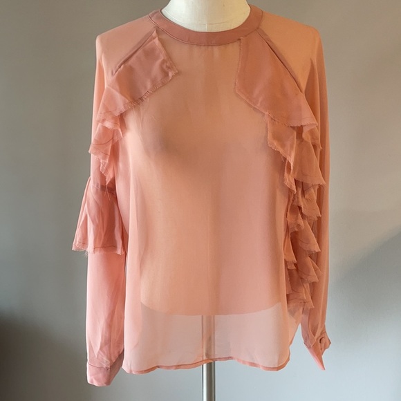 NWT ASOS RAW RUFFLED SHEER BLOUSE. Long sleeve. Crew neck peachy pink size 8 - Picture 1 of 15
